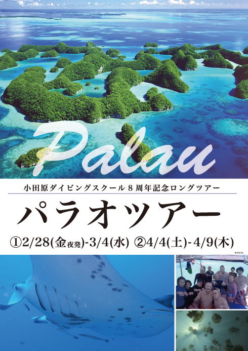 8周年記念パラオ6日間ツアー