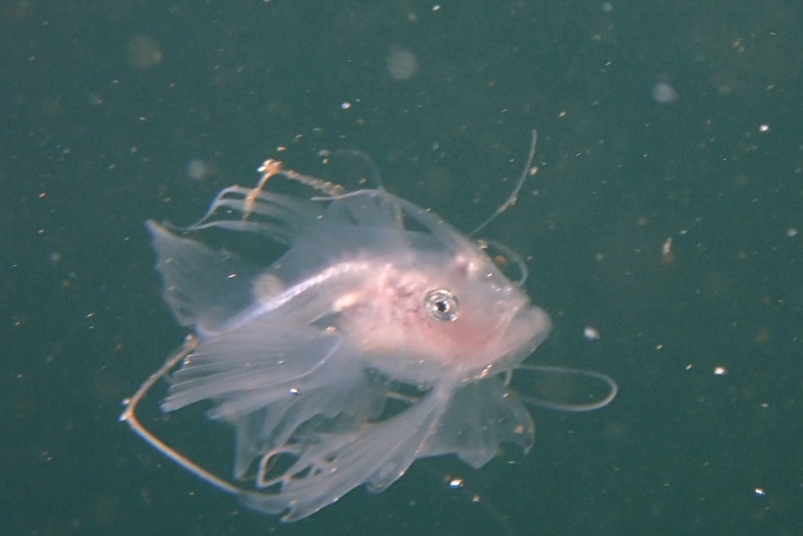今日もすごかった