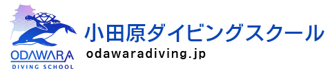 小田原ダイビングスクール・ダイビングライセンス・伊豆へのダイビングショップ