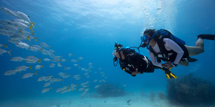 初心者ダイビングライセンス取得コース