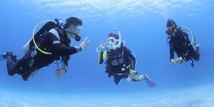 初心者ダイビングライセンス取得コース