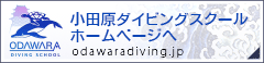 Cカード・ライセンス取得、伊豆ファンダイブツアー毎日開催。神奈川のショップ 小田原ダイビングスクール