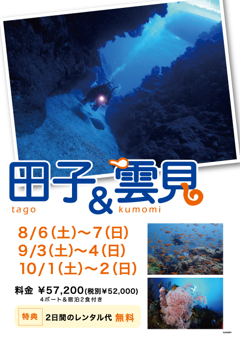 田子雲見ダイビングツアー