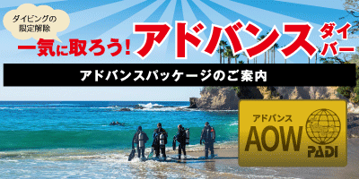 アドバンスパッケージ